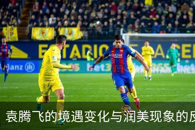 袁腾飞的境遇变化与润美现象的反思